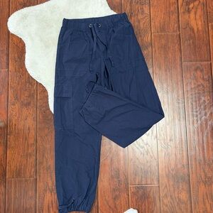 Aerie Dark Blue Cargo Pants
